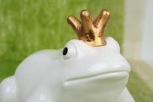 weisser Froschkönig sitzt auf grünem Dekovlies -